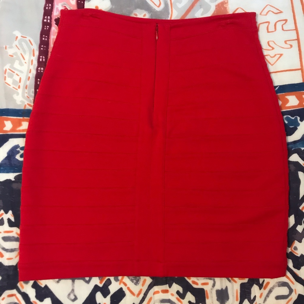 Express Fitted Skirt - Picture 2 of 7